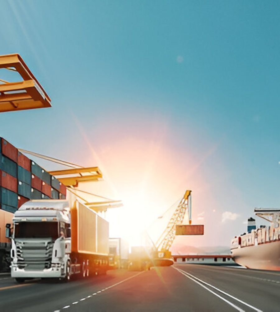 International Moving Services
